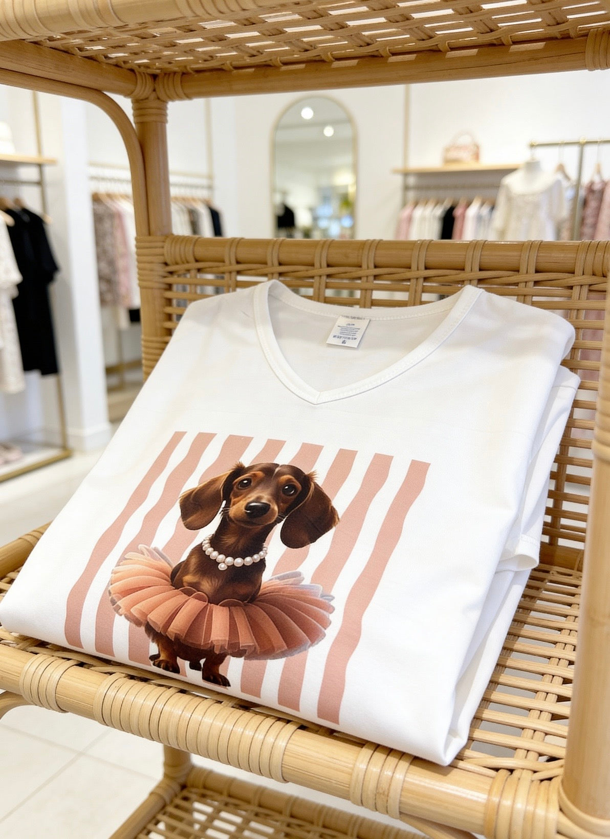 Chandail teckel ballerine chic et irrésistible 🐶🎀
